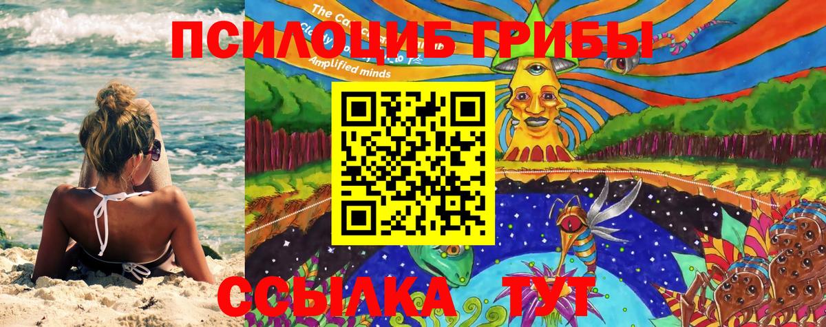 Галлюциногенные грибы Cubensis Сызрань