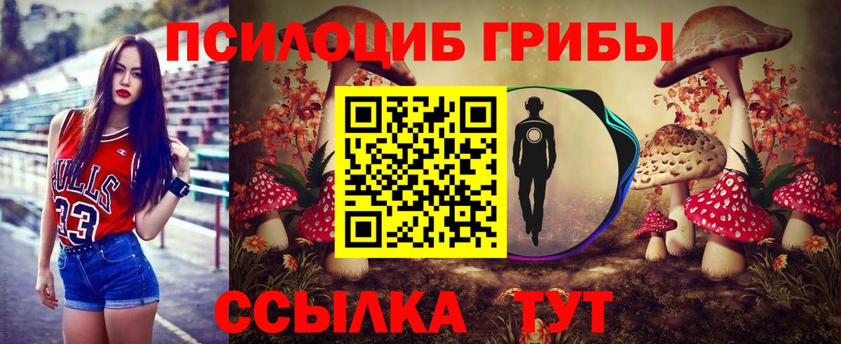 Галлюциногенные грибы Psilocybe  где можно купить   Сызрань  Галлюциногенные грибы Psilocybe  Вход с VPN 